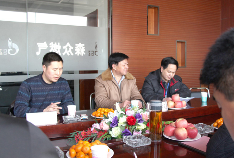 林口县政府与亚-搏网页版登入页面燃气项目洽谈.png